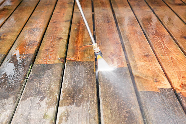 Best Roof Pressure Washing  in Weyauwega, WI